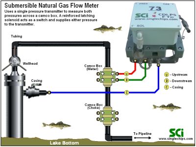 CDi.P5.FTe Routine Installation @ Lake Bottom