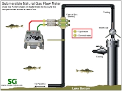 Function #0 CDi1s.FTe, Camaro in a typical 2-TR submersible flow meter application. Capability: Upstream, downstream flow recording only, no switching.